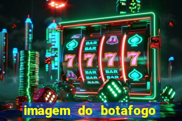 imagem do botafogo zuando o palmeiras